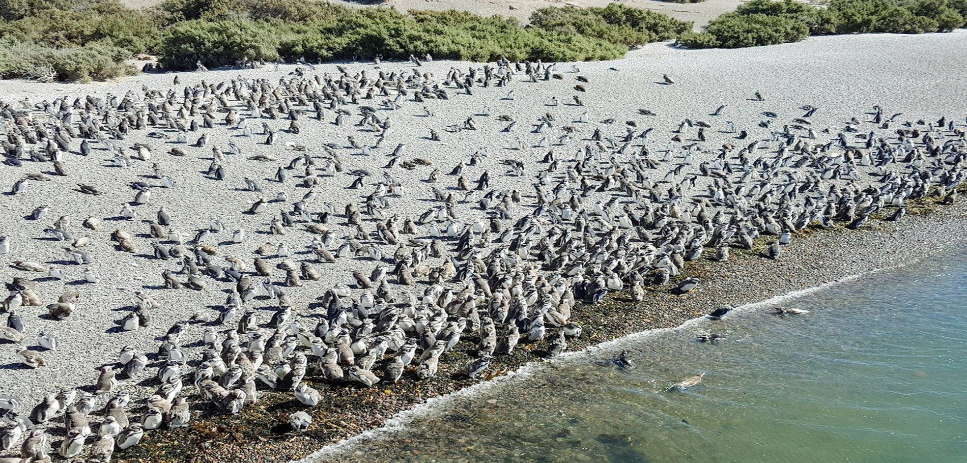 Puerto Madryn