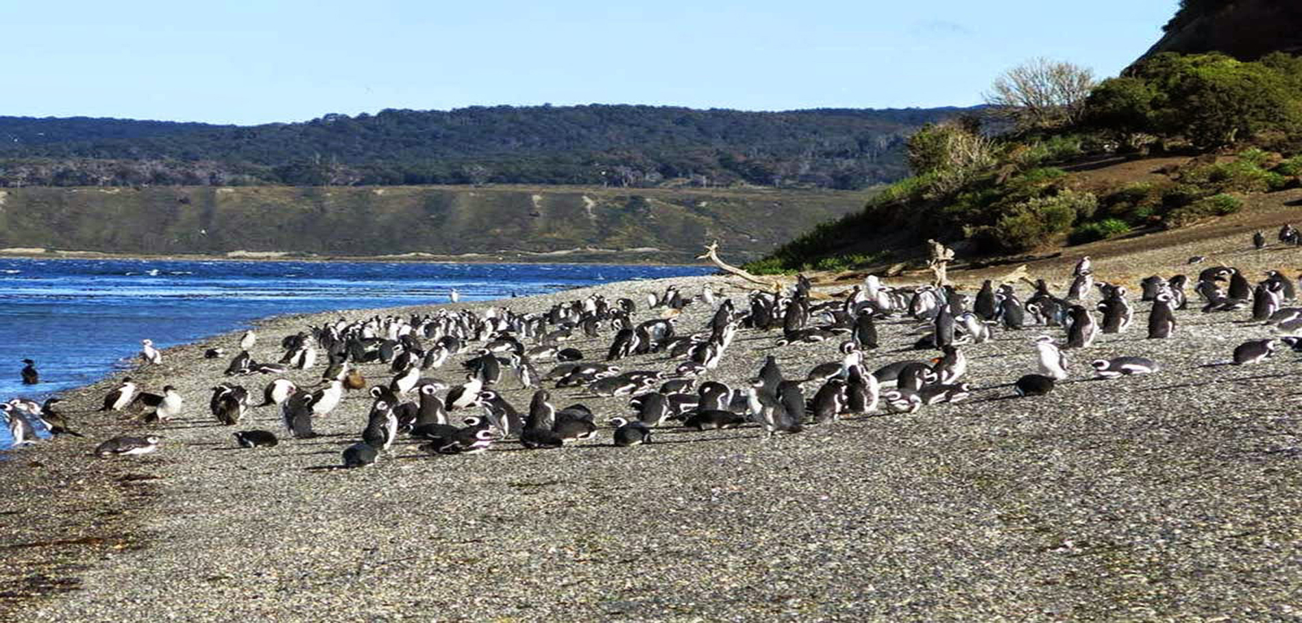Ushuaia